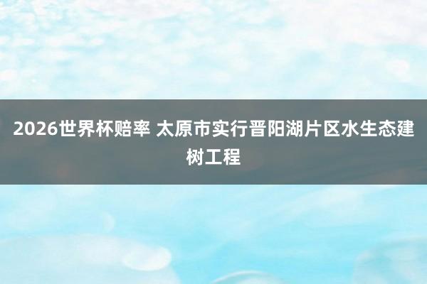 2026世界杯赔率 太原市实行晋阳湖片区水生态建树工程