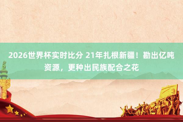 2026世界杯实时比分 21年扎根新疆！勘出亿吨资源，更种出民族配合之花