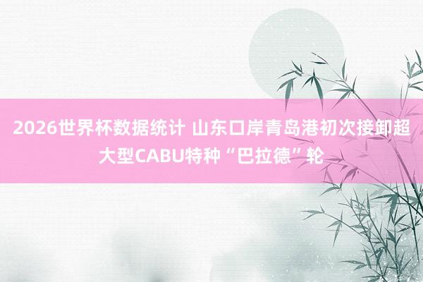 2026世界杯数据统计 山东口岸青岛港初次接卸超大型CABU特种“巴拉德”轮
