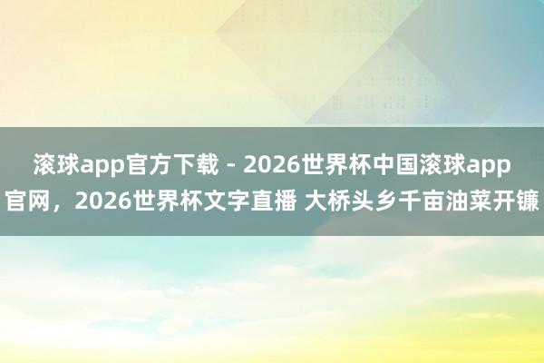 滚球app官方下载 - 2026世界杯中国滚球app官网，2026世界杯文字直播 大桥头乡千亩油菜开镰