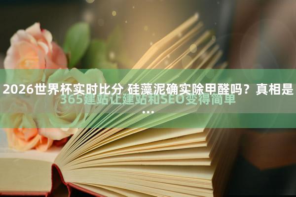 2026世界杯实时比分 硅藻泥确实除甲醛吗?真相是...
