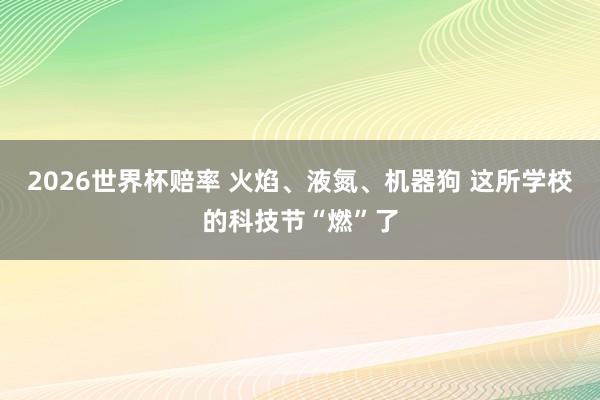 2026世界杯赔率 火焰、液氮、机器狗 这所学校的科技节“燃”了