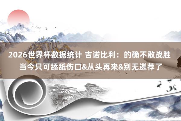 2026世界杯数据统计 吉诺比利：的确不敢战胜 当今只可舔舐伤口&从头再来&别无遴荐了