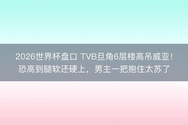 2026世界杯盘口 TVB旦角6层楼高吊威亚!恐高到腿软还硬上,男主一把抱住太苏了