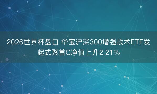 2026世界杯盘口 华宝沪深300增强战术ETF发起式聚首C净值上升2.21%