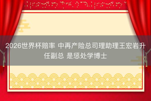 2026世界杯赔率 中再产险总司理助理王宏岩升任副总 是惩处学博士